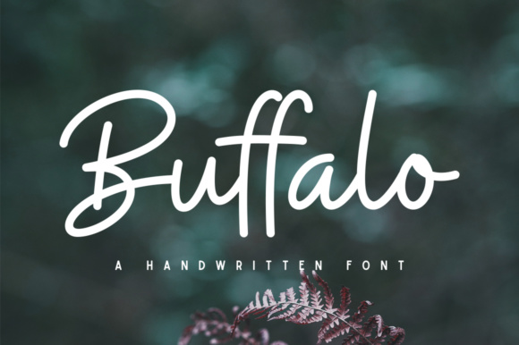 Buffalo: The Handwritten Font That Makes Designs Feel Personal